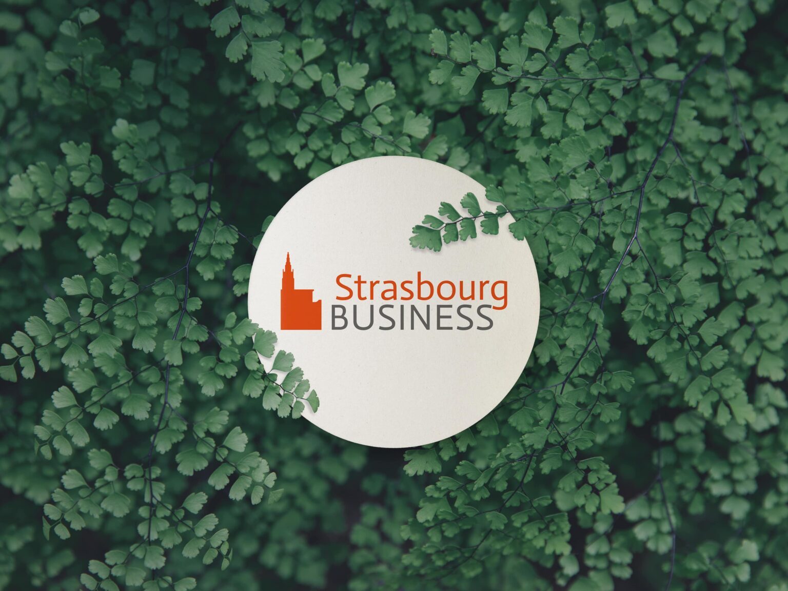 Logo Strasbourg Business